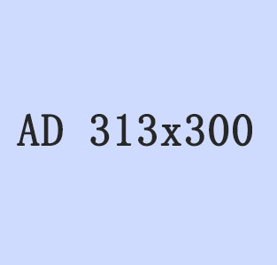 ad313 300