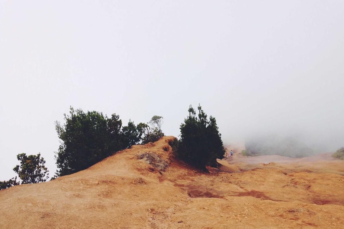 African Safari: An Unforgettable Wildlife Adventure